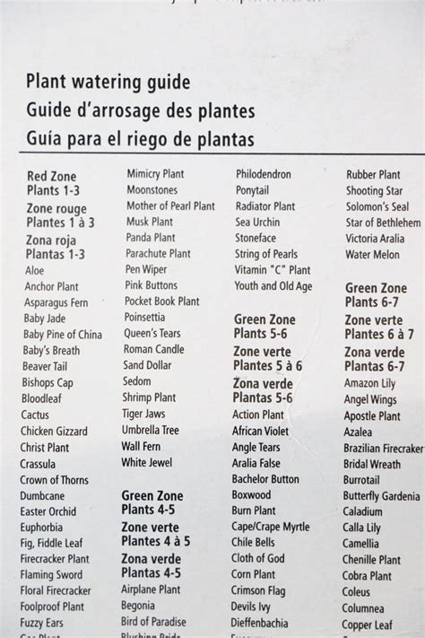 custom best moisture meter for plants|plant moisture level chart.